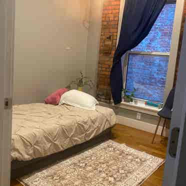 One room available in Crown Heights