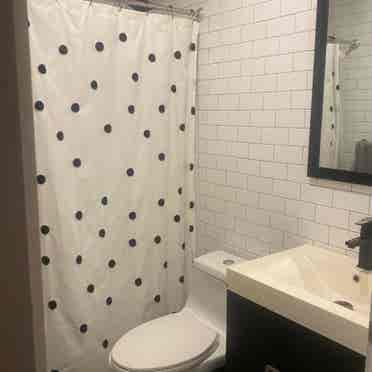 One room available in Crown Heights