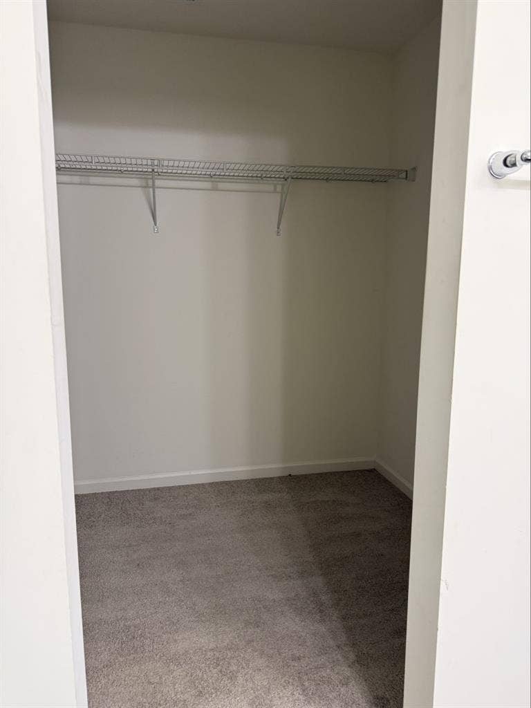 Looking for someone to fill a room