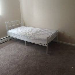 Roommate Wanted