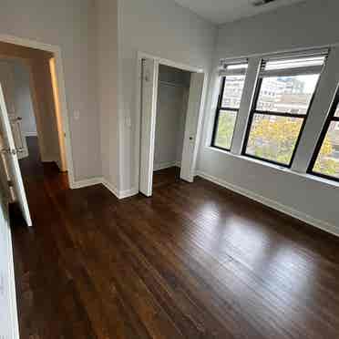 Sunny, Central Andersonville 3bed