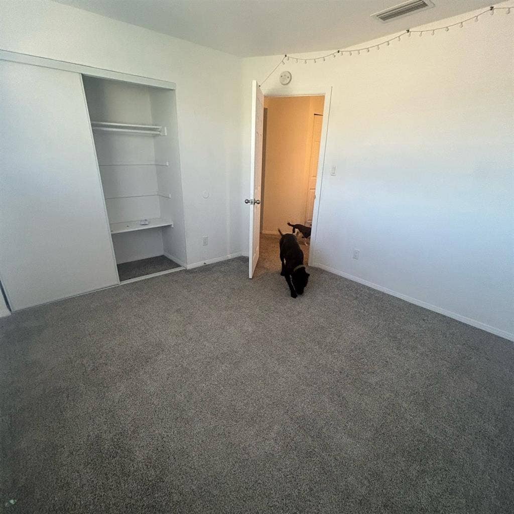 Room for rent in East Mesa :)