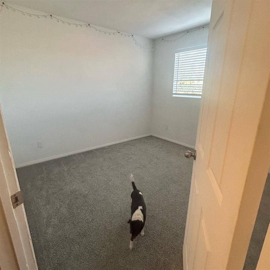 Room for rent in East Mesa :)