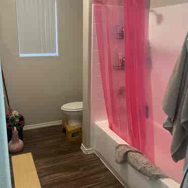 Room Avail Immediately in N PHX