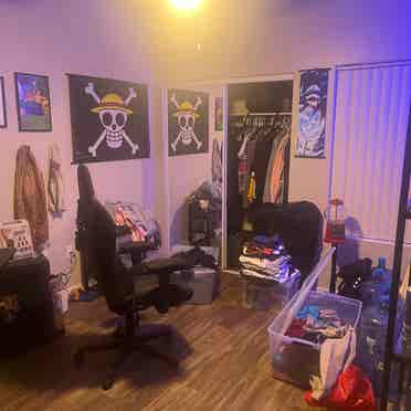 Room Avail Immediately in N PHX