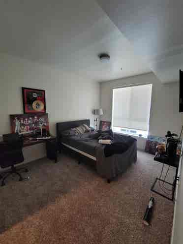 Roommate Needed: BA Luxury Apt