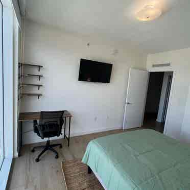 Single Bedroom in Downtown Miami