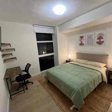 Single Bedroom in Downtown Miami