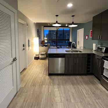 Spring Sublease at The James