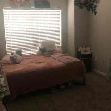 Room near KSU- Lease Transfer