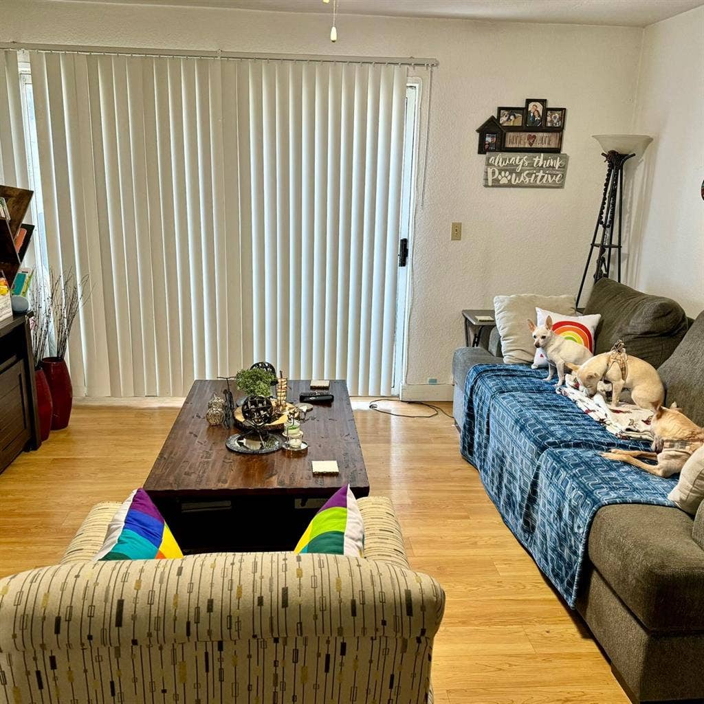 Friendly LGBTQIA+ Room available