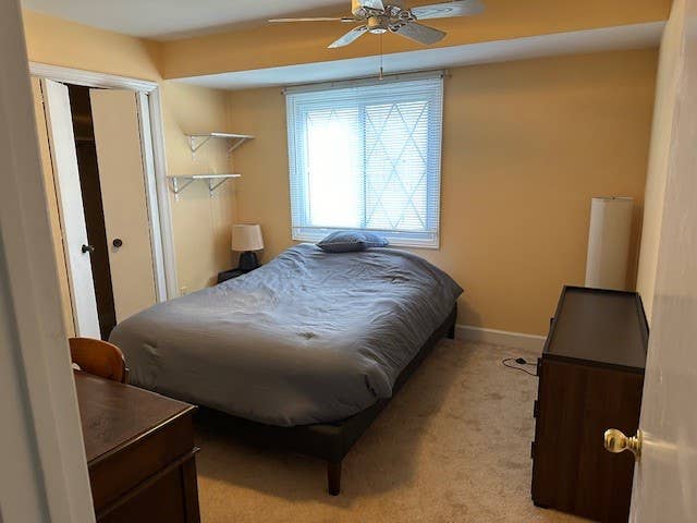 Large Room in 5 Bedroom home