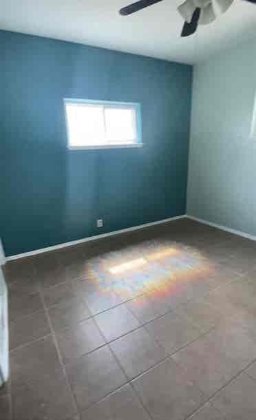 Roommate Needed!