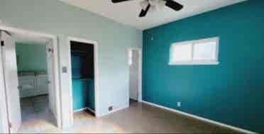 Roommate Needed!