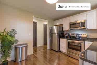 6 BR in Boston