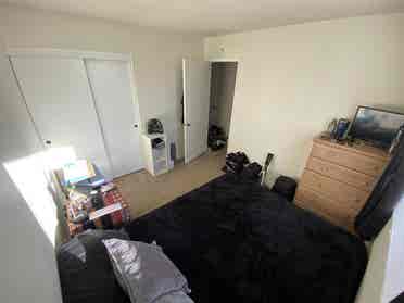 Looking for a roommate