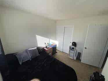 Looking for a roommate