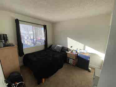 Looking for a roommate