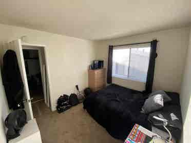 Looking for a roommate