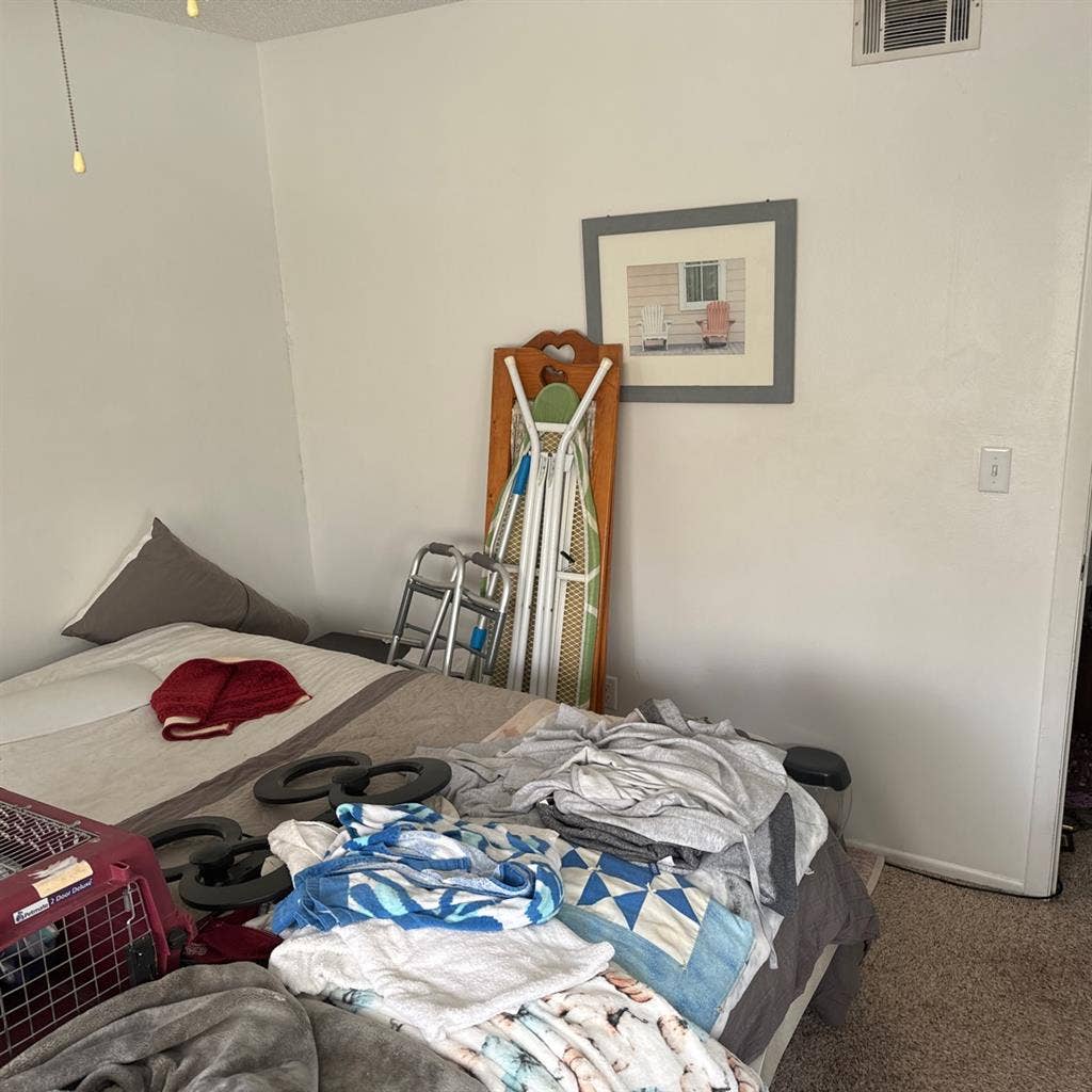 Roommate needed