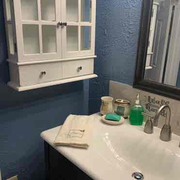 Private master / bath for rent