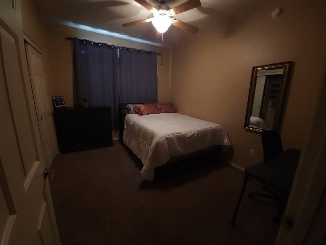 Roommate Needed