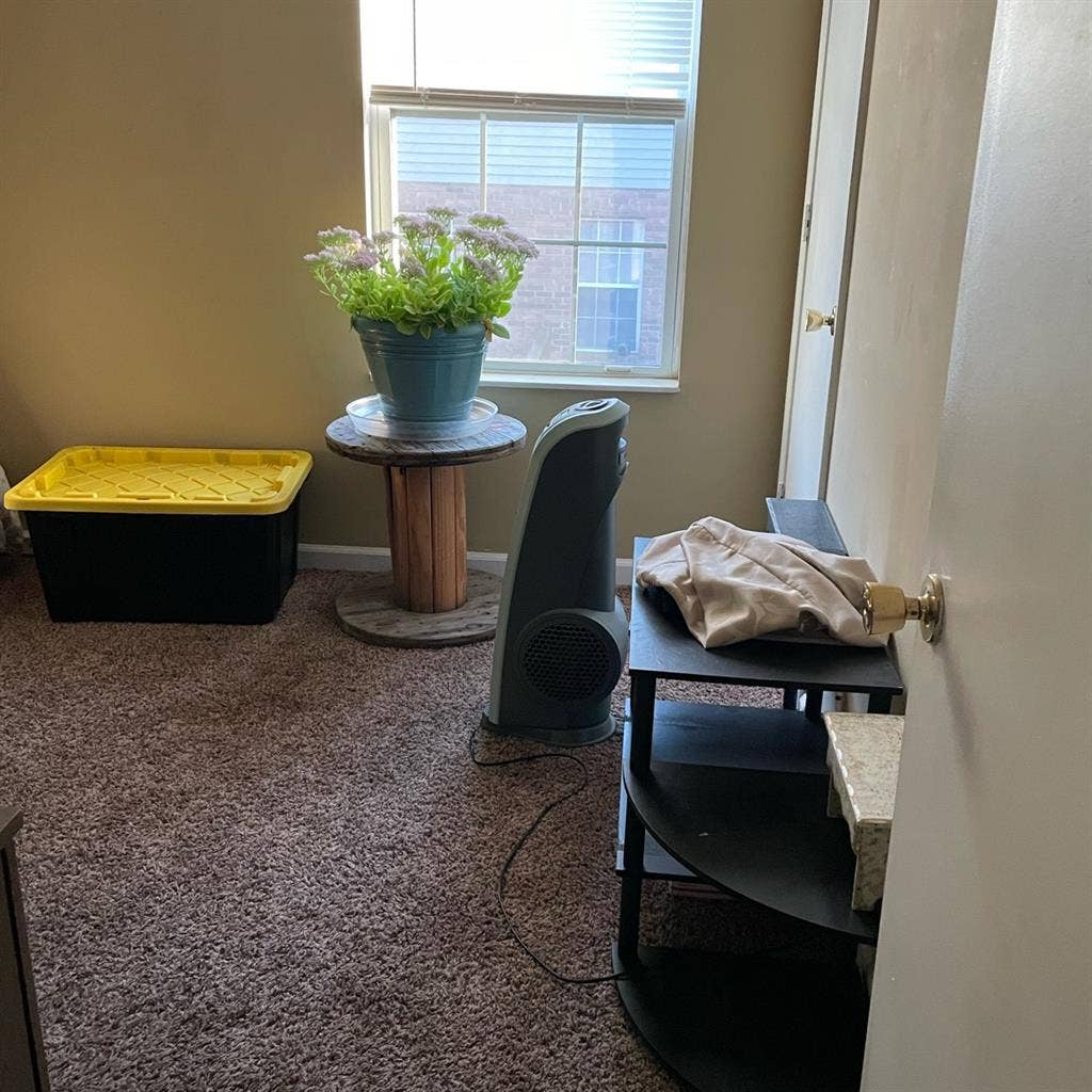 Room 4 rent pet home 
pending rental