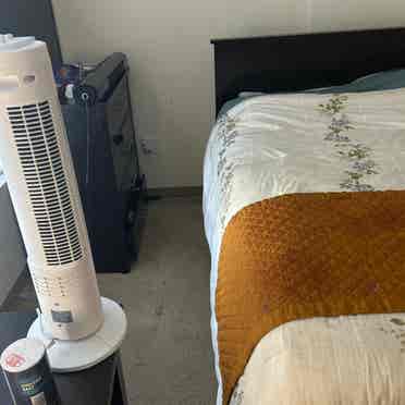 Furnished 
Unit in GSU Student Dorm