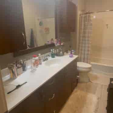 Bath Apartment Lowertownn