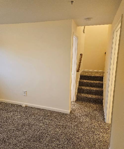 Basement apartment for rent