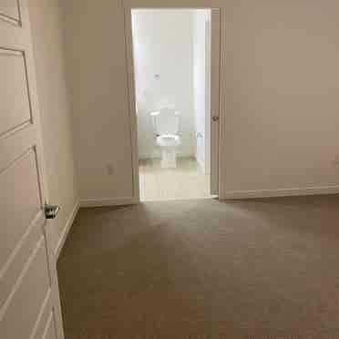 Room for rent in brand new apt