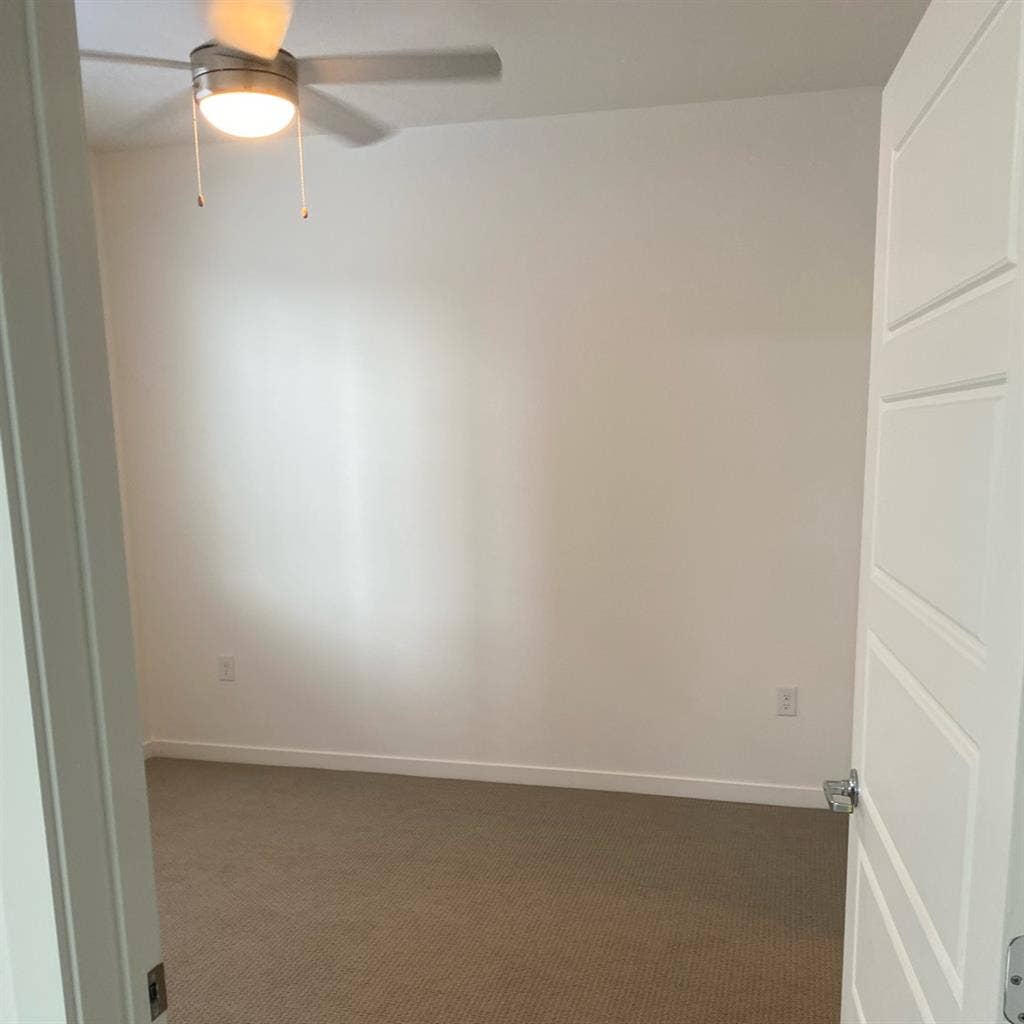 Room for rent in brand new Apt