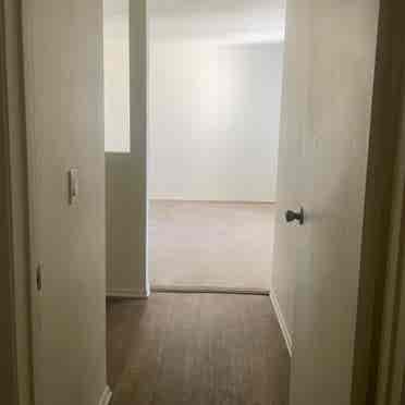 Master Bedroom for Rent near CSUSM