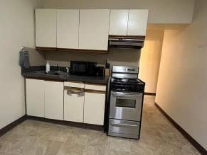 Fenway sublet - Nov to Dec