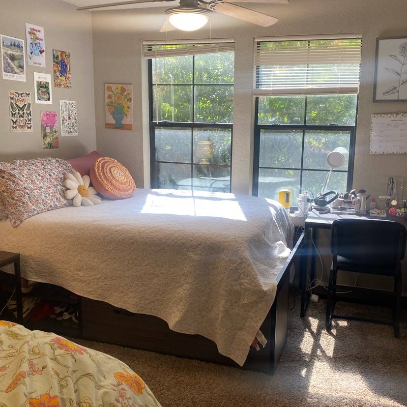 Spring  SDSU SubLease