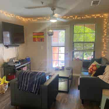 Spring  SDSU SubLease