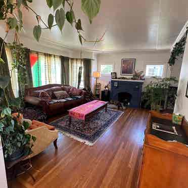 Large Studio in beautiful Alameda