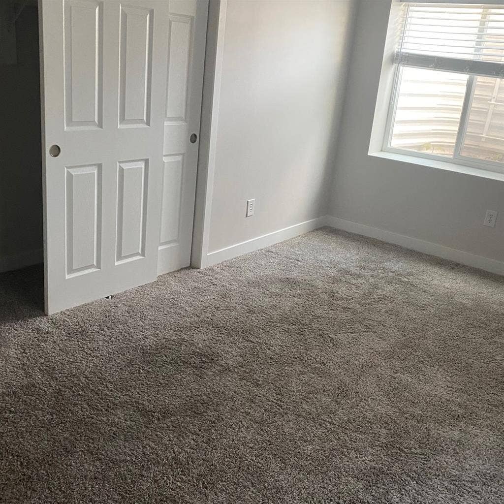 Room in the basement for rent