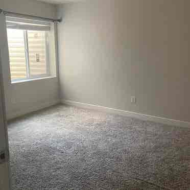 Room in the basement for rent