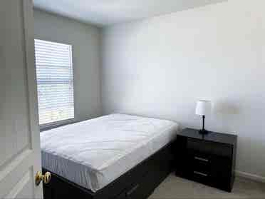 Perfect Room for Rent