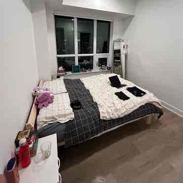 Urgently looking for third roommate