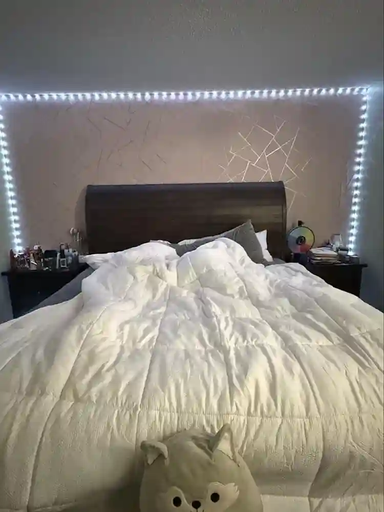 Waterfront Condo on the Beach