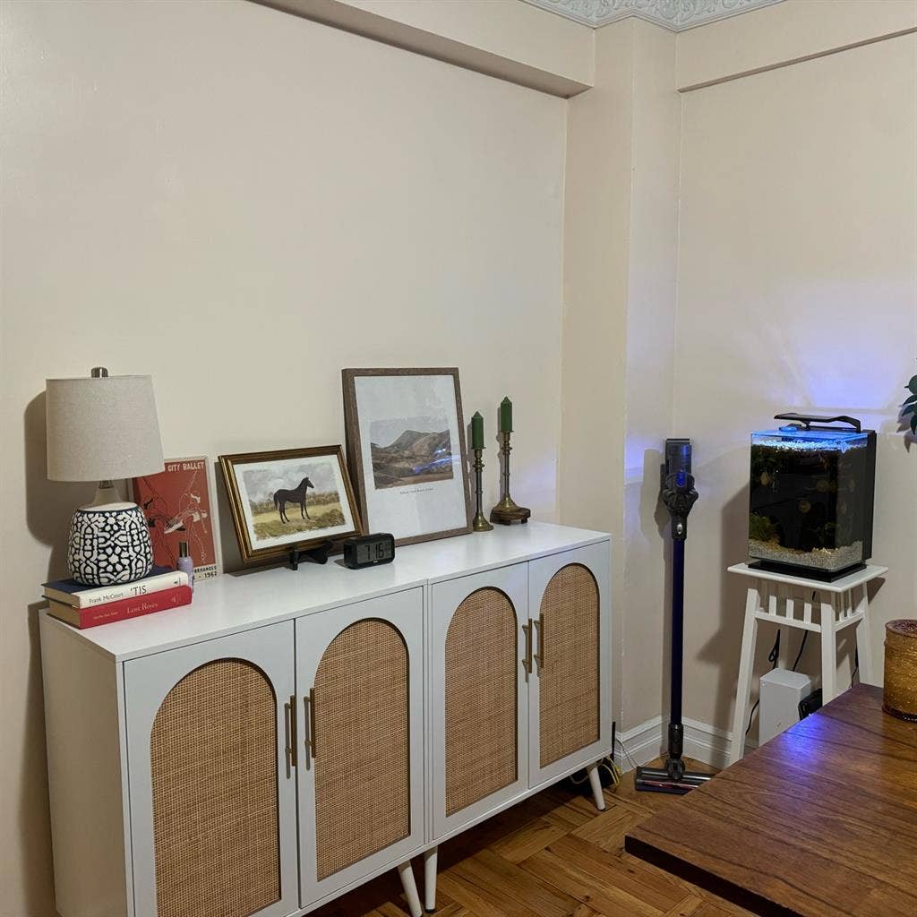 Spacious apt/ room in Brooklyn