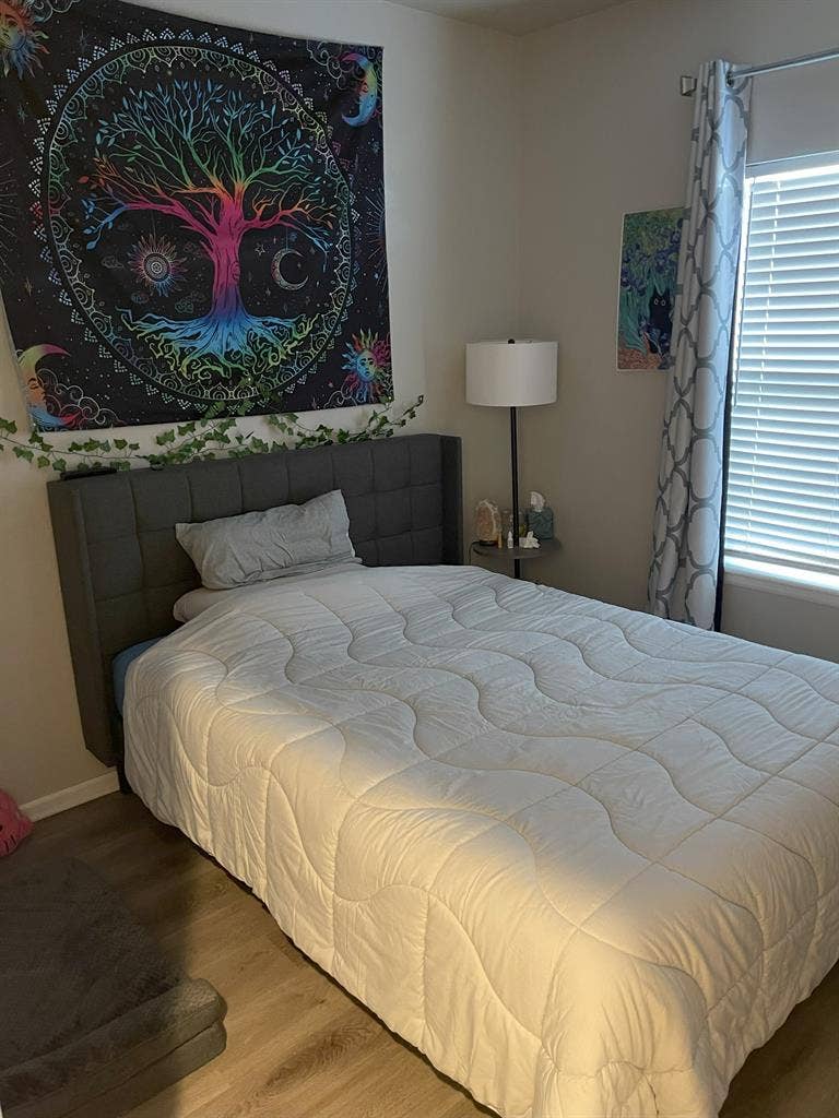 Room for Rent in West Arvada