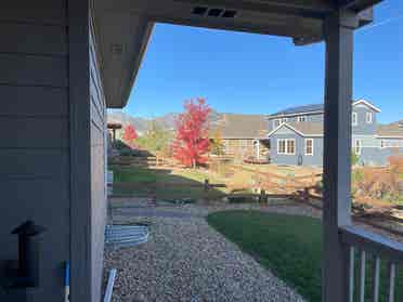 Room for Rent in West Arvada