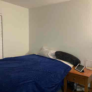 Studio for rent 1100