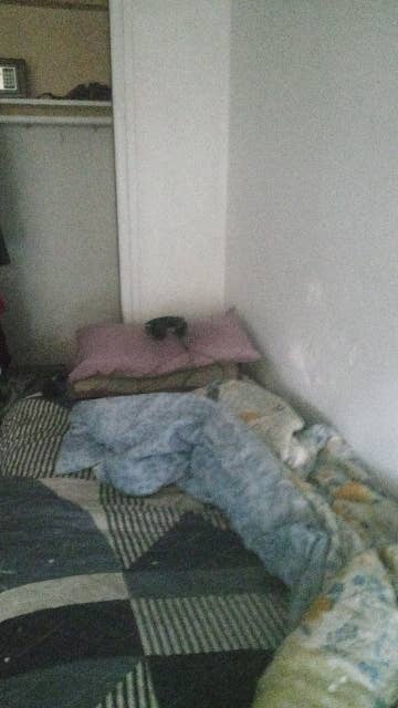 One room for rent in Jamaica Queens