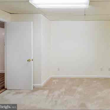 Basement apartment for rent