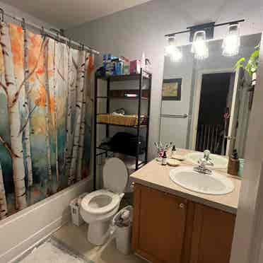 Sunny, tree room, shared bathroom