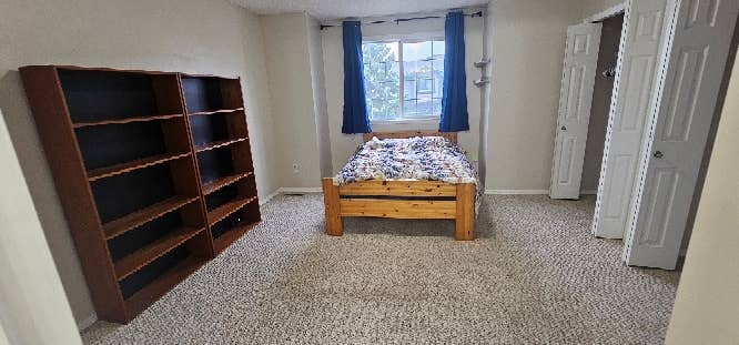 Looking for a roommate